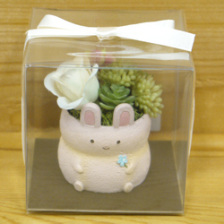 box